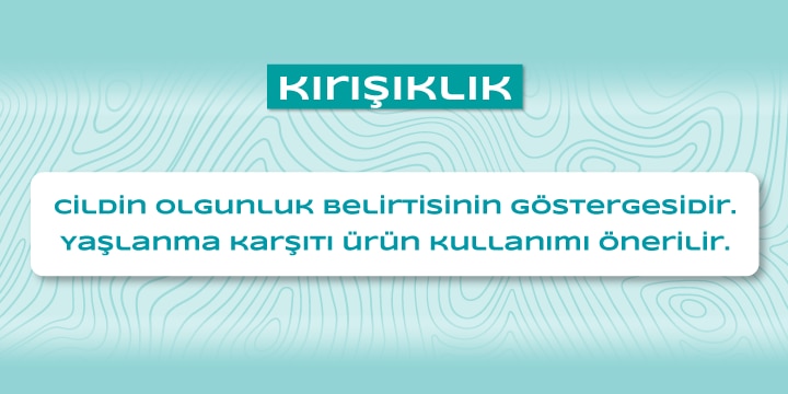 OSA_Banner-720-360-9.png