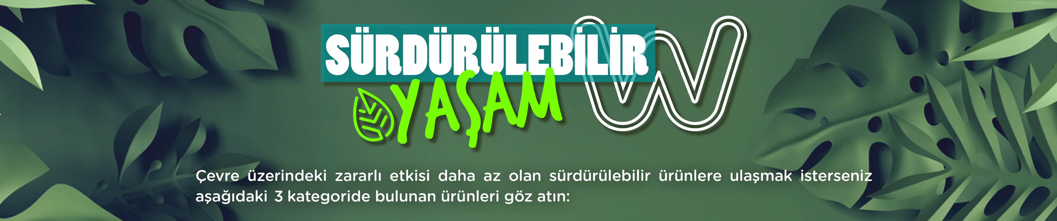 sy-b.png