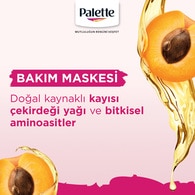 PALETTE PALETTE Palette Işıltılı Transparan Renkler Vişne Kahve 5-8 1 of 9