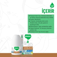 Siveno Doğal Roll On Hindistan Cevizi 50 ml