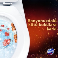  DOMESTOS DOMESTOS Domestos Wc Blok Şeftali Çiçeği 2x50 g  1 of 9 