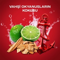 Old Spice Captain Stick 50 ml + Duş Jeli 250 ml Set