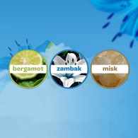 Dalin Bebek Kolonyası Okyanus Ferahlığı 150 ml