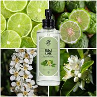  REBUL REBUL Rebul Kolonya Lime Sprey 100 ml  1 of 2 
