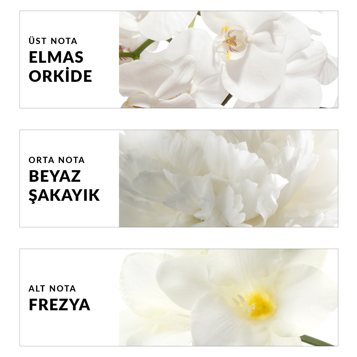  AVON AVON Avon Incandessence Kadın EDP Parfüm 50 ml  1 of 4 