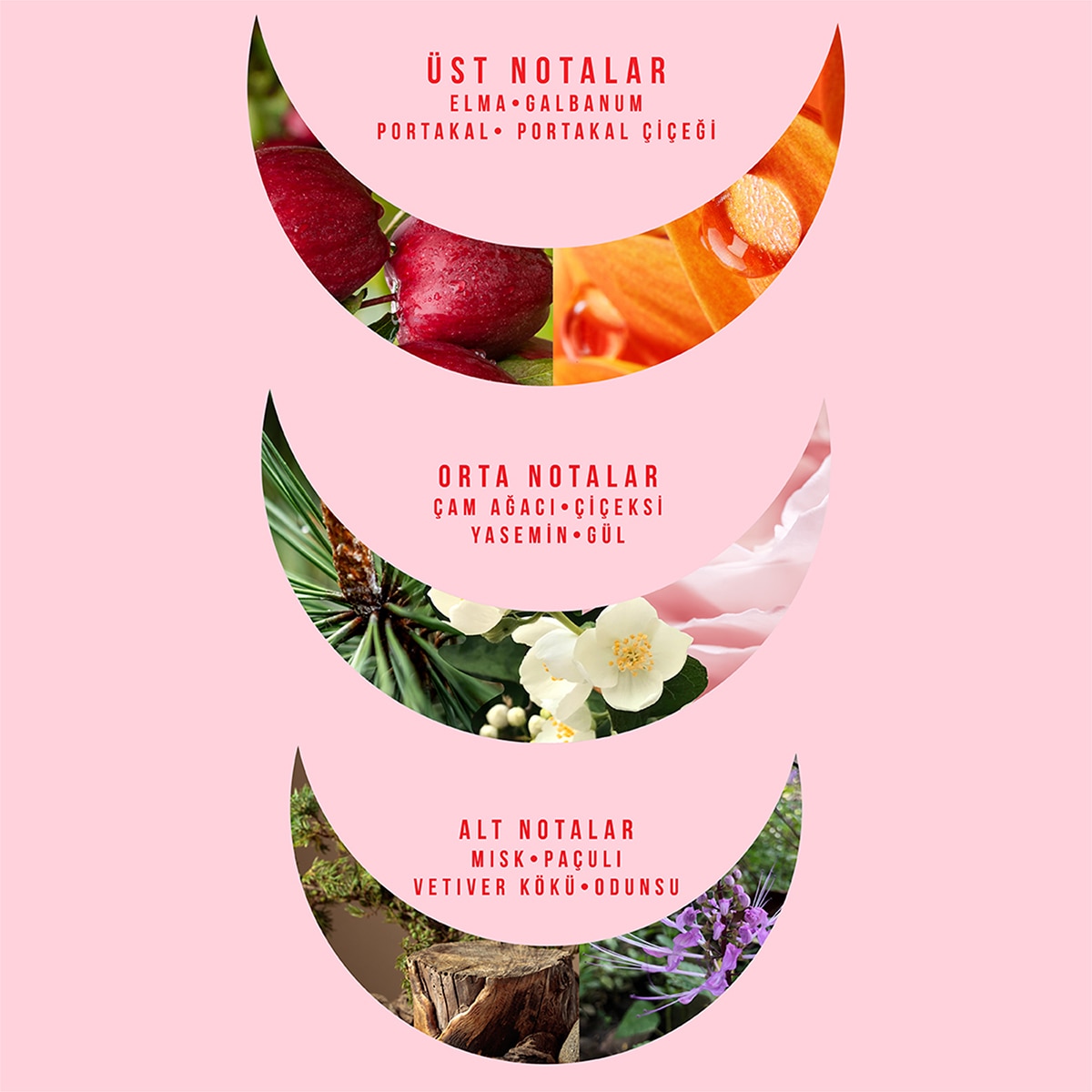  WATSONS WATSONS Watsons Golden Spark Kadın Parfüm EDT 85 ml  1 of 3 