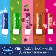 Vaseline Original Dudak Bakım Kremi ve Dudak Parlatıcısı 4.8 g