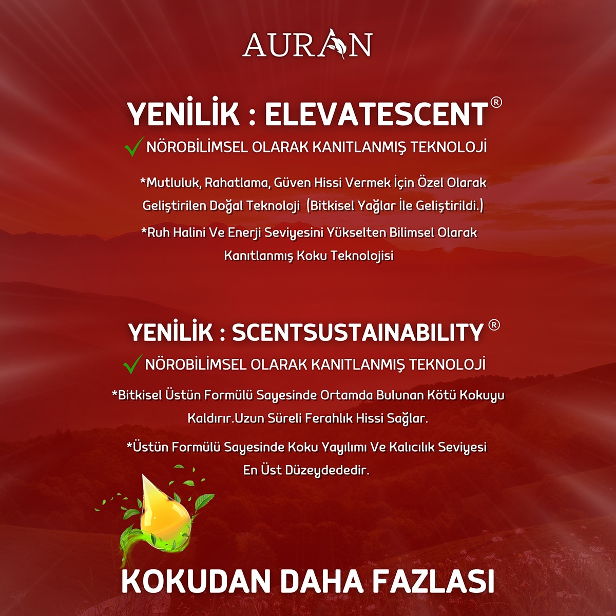  AURAN AURAN Auran Uçucu Koku Yağı Amber 10 ml  1 of 4 