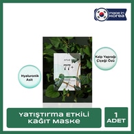  ANUA ANUA Anua Heartleaf 77 Soothing Maske 25 ml  
