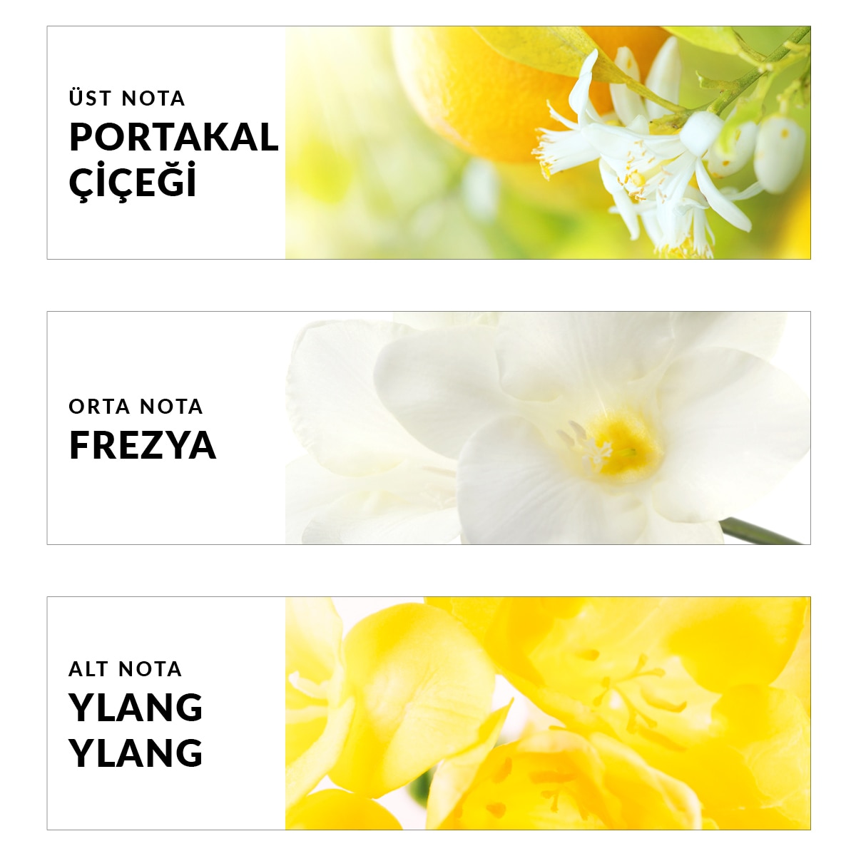  AVON AVON Avon TTA Today Kadın Parfüm EDP 50 ml  1 of 3 