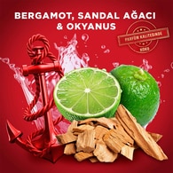 Old Spice Captain Duş Jeli ve Şampuan 400 ml