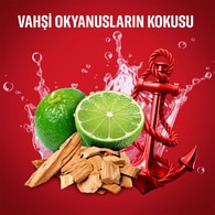 Old Spice Captain Erkekler İçin Sprey Vücut Deodorantı 150 ml