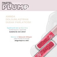 Pastel Plump Up Extra Hydrating Plumping Gloss Dolgunlaştıran Dudak Parlatıcısı 204 Spicy Sweet