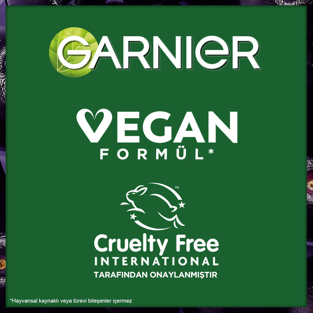  GARNIER GARNIER Garnier Proretinol Pürüzsüzleştirici Kağıt Maske 22 gr  1 of 3 