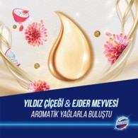 Domestos WC Blok Yıldız Çiçeği ve Ejder Meyvesi 100 g