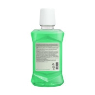 Watsons Mint Green Tea Herbal Gargara 100 ml