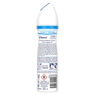 REXONA REXONA Rexona Kadın Sprey Deodorant Cotton Dry 72 Saat Kesintisiz Üstün Koruma 150 ml 1 of 9