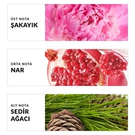 Avon Eve Truth Kadın EDP Parfüm 50 ml