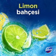 Domestos WC Blok Limon Bahçesi 100 g