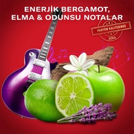Old Spice Rockstar Erkek Duş Jeli ve Şampuan 400 ml