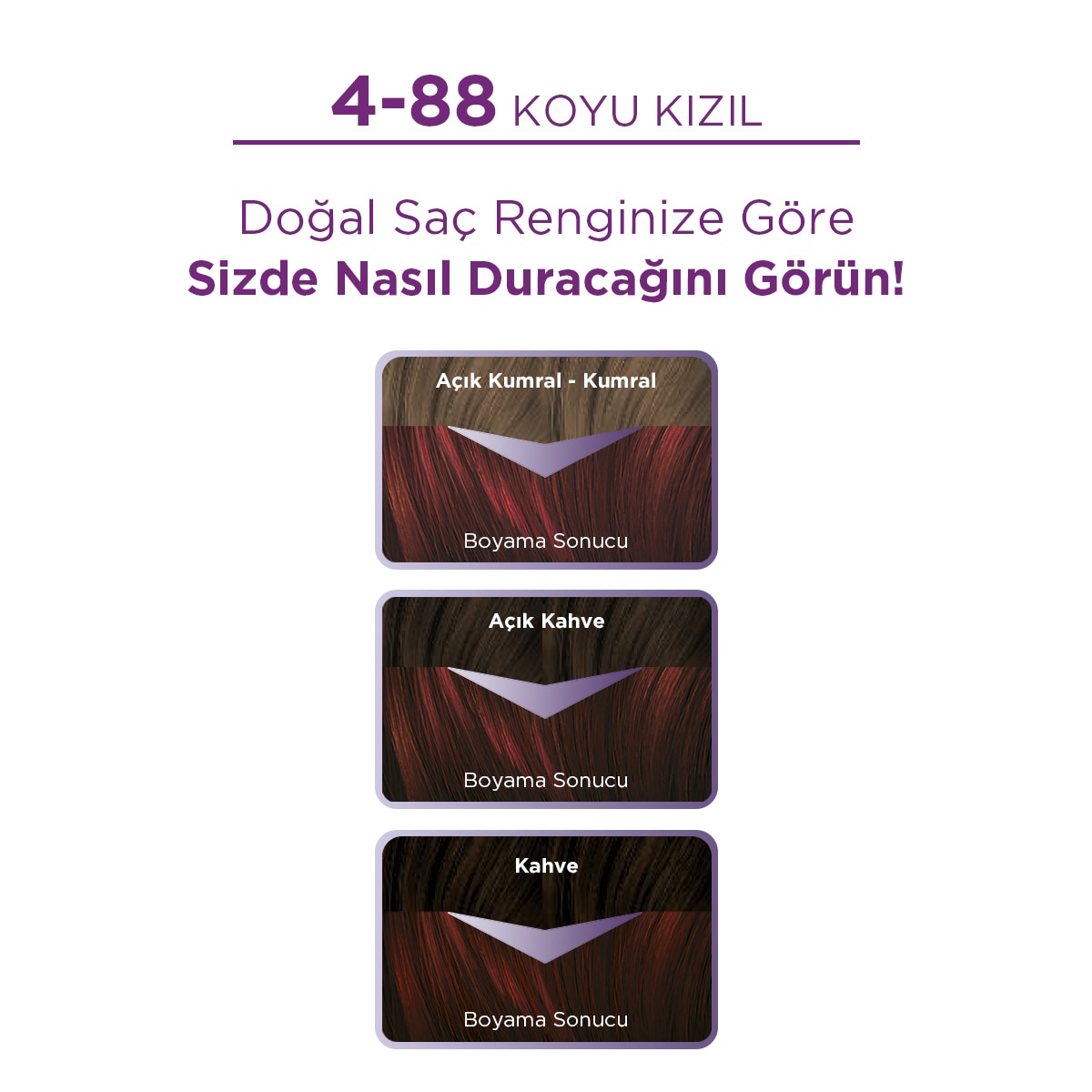 PALETTE NATURAL COLORS PALETTE NATURAL COLORS Palette Göz Alıcı Renkler Saç Boyası 4-88 Koyu Kızıl 1 of 10