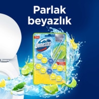 Domestos WC Blok Limon Bahçesi 100 g