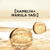 ELSEVE ELSEVE L'Oreal Paris Elseve Mucizevi Yağ Besleyici Bakım Şampuanı 700 ml 1 of 6