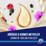 Domestos WC Blok Hibiskus ve Kırmızı Meyveler 100 g