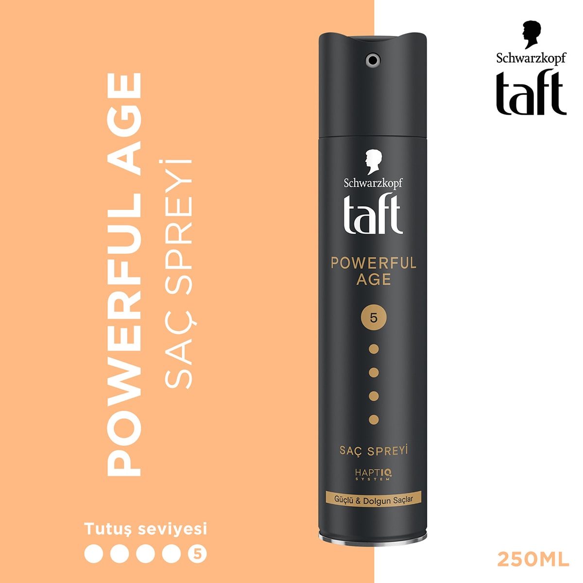 TAFT TAFT Taft Powerful Age Sprey 250 ml 1 of 6