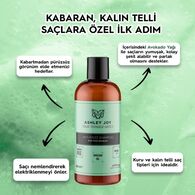 Ashley Joy Antifrizz Şampuan 400 ml