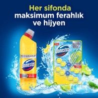 Domestos WC Blok Limon Bahçesi 100 g