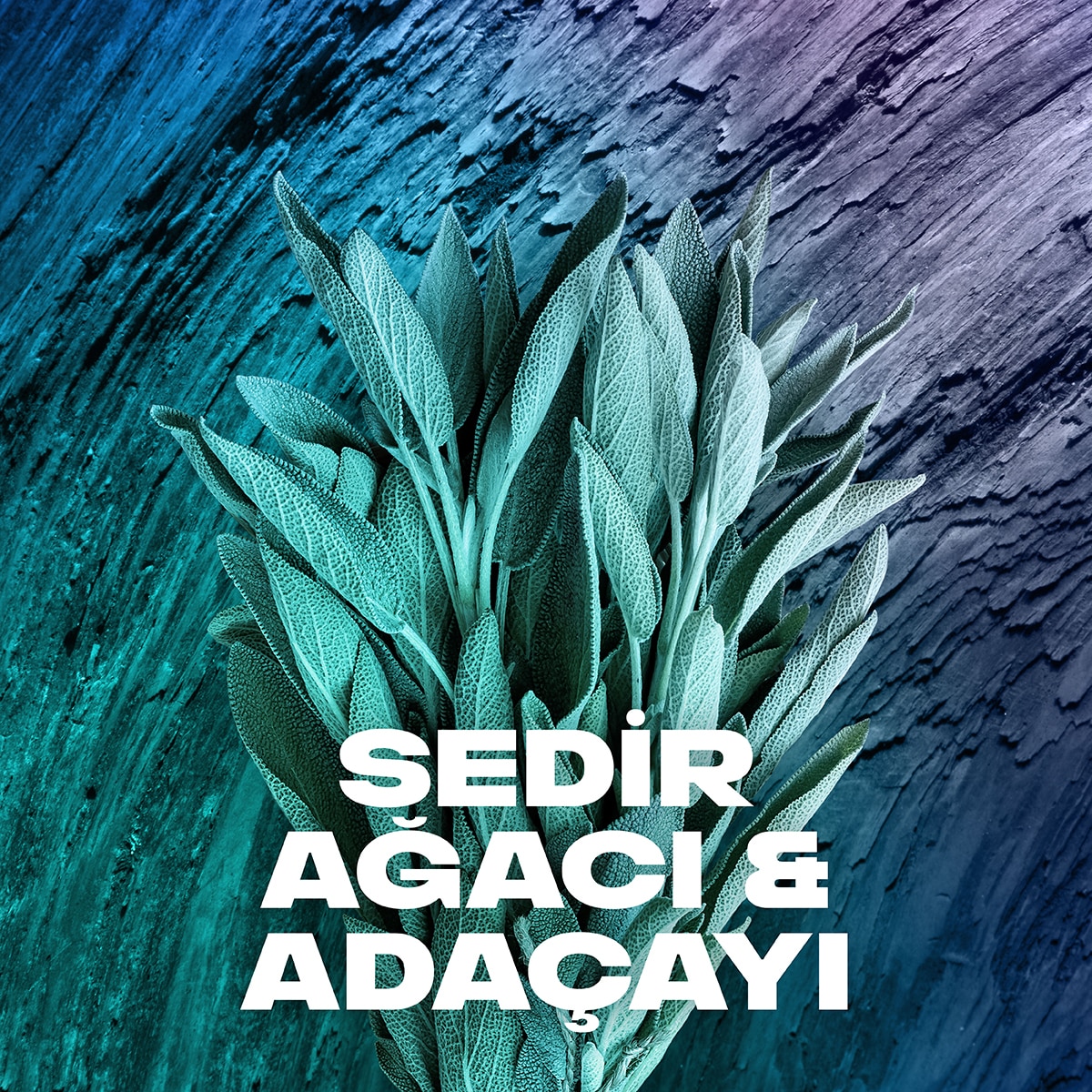  AXE AXE Axe Erkek Sprey Deodorant Apollo 48 Saat Etkileyici Koku 200 ml  1 of 8 