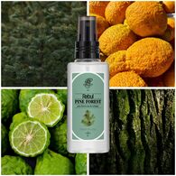  REBUL REBUL Rebul Pine Forest Kolonya EDC 125 ml  1 of 3 