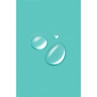 ANUA ANUA ANUA PEACH 77% NIACIN ESSENCE TONİK 250ML 1 of 4