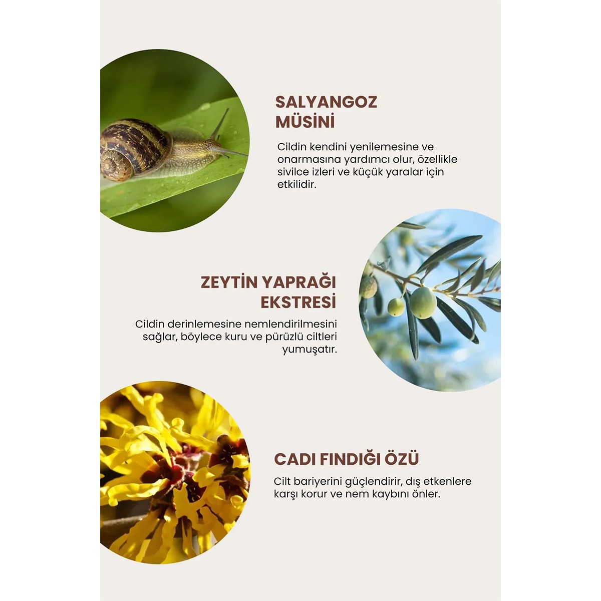  DEOPROCE KOREA DEOPROCE KOREA Deoproce Korea Snail Recovery Aydınlatıcı Ampul 30 ml  1 of 6 