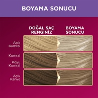 Palette Deluxe Saç Boyası 10-1 Küllü Açık Sarı