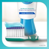 Sensodyne Promine Aktif Diş Minesi Kalkanı Beyazlık 75 ml