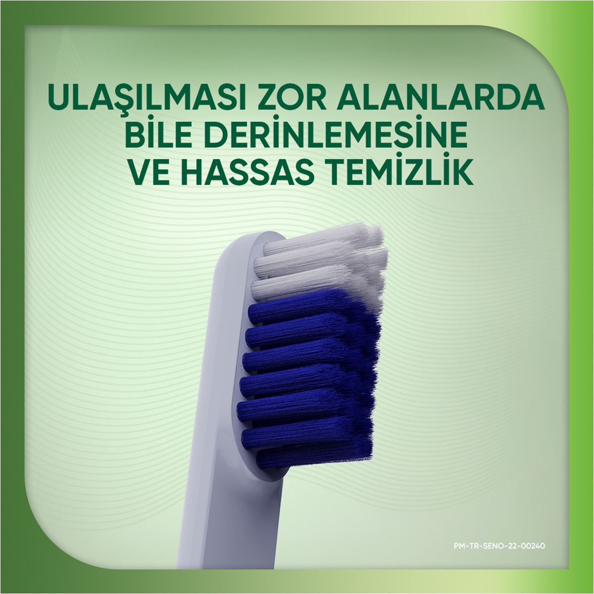  SENSODYNE SENSODYNE Sensodyne Diş Fırçası Nourish 1+1  1 of 6 