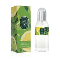  EYÜP SABRİ TUNCER EYÜP SABRİ TUNCER Eyüp Sabri Tuncer Çeşme Limon Kolonyası Cam Şişe 16 ml 