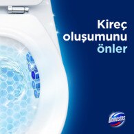 Domestos WC Blok Okyanus Esintisi 100 g