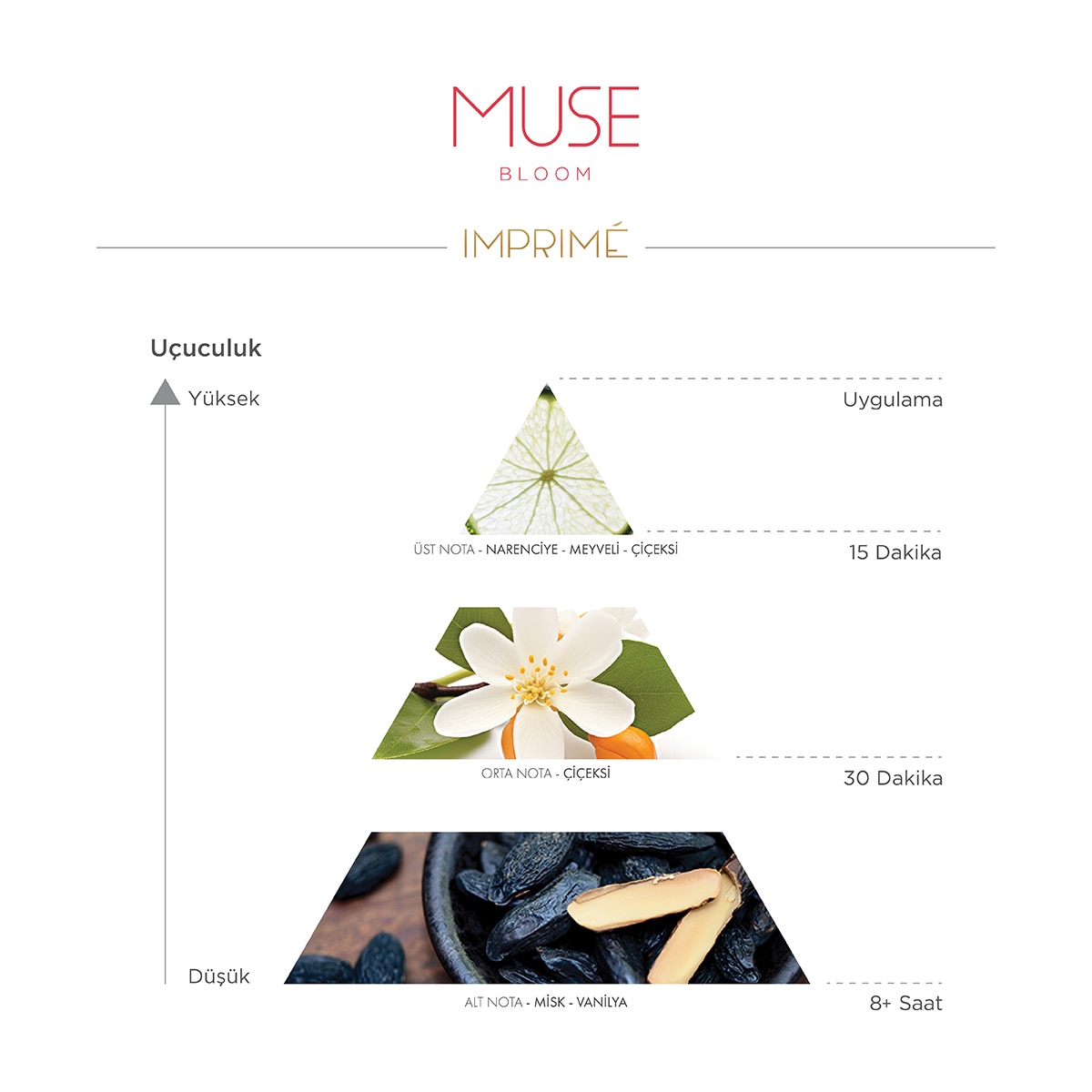  Imprime IMPRIME EXC. Imprime Muse Bloom Kadın EDP Parfüm 50 ml  1 of 7 