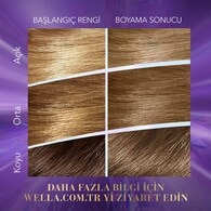 Wella Koleston Kit Saç Boyası Açık Küllü Kumral 8/1