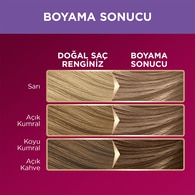 Palette Deluxe Saç Boyası Küllü Kumral 8-11