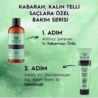 Ashley Joy Antifrizz Şampuan 400 ml