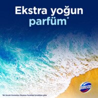 Domestos WC Blok Okyanus Esintisi 100 g