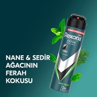 Rexona Men Erkek Sprey Deodorant Natural Fresh Mint 72 Saat Kesintisiz Üstün Koruma 150 ml