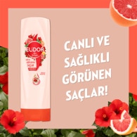 Elidor Doğanın Enerjisi Saç Bakım Kremi Argan Yağı ve Hibiskus Özü 350 ml