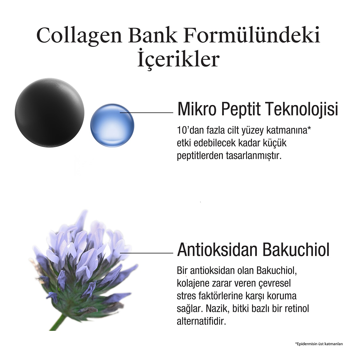  NEUTROGENA NEUTROGENA Neutrogena Collagen Bank Nemlendirici Gece Kremi 50 ml  1 of 6 