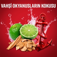 Old Spice Captain Erkekler İçin Duş Jeli ve Şampuan 1000 ml Ekstra-XL