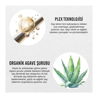 Urban Care No.2 Bond Plex Yıpranma Karşıtı Saç Bakım Şampuanı 350 ml